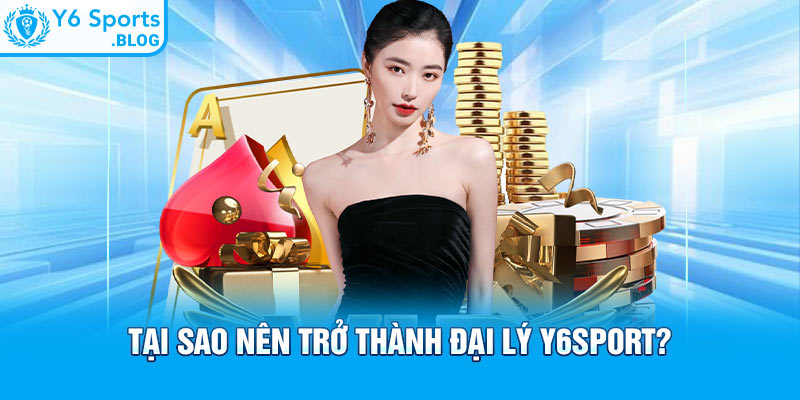 Tại sao nên trở thành đại lý Y6sport?