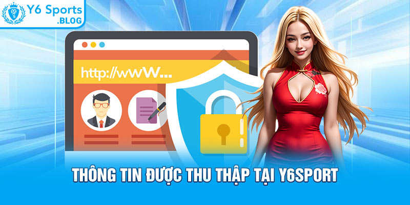 Thông tin được thu thập tại Y6sport